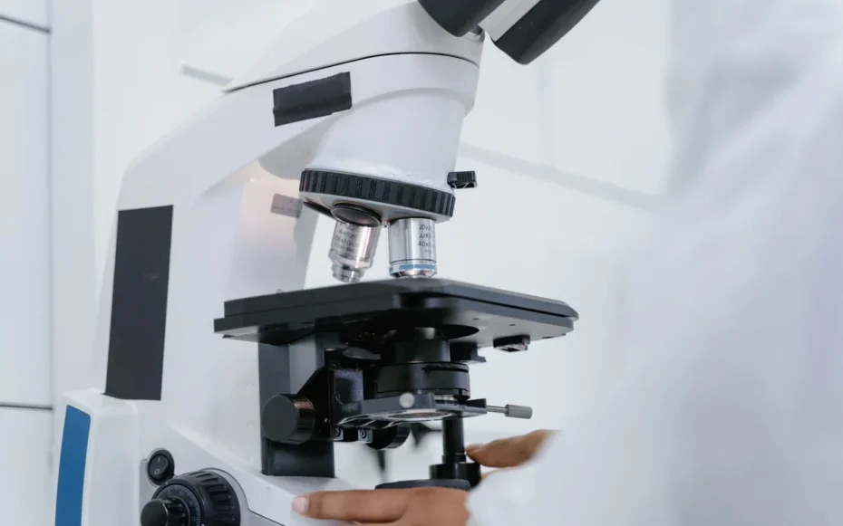 bactéria magnética antienvelhecimento estudo