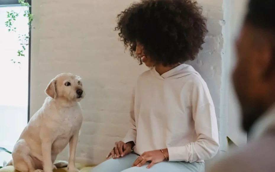 cachorros e humanos longevidade proteina