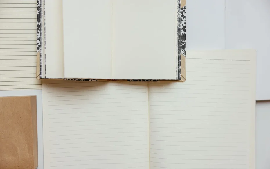 Google Notebook Gemini interação com livros comprados