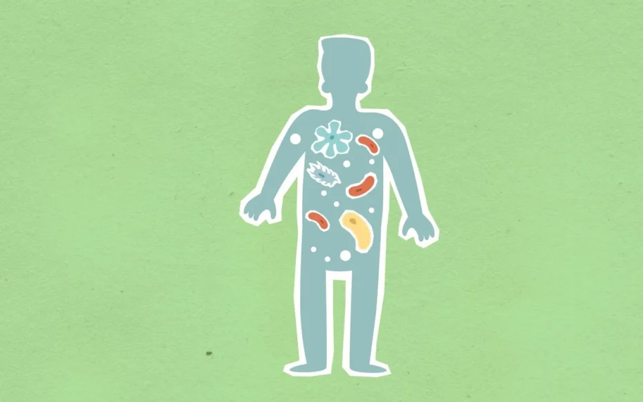 microbioma intestinal pode ser contagioso