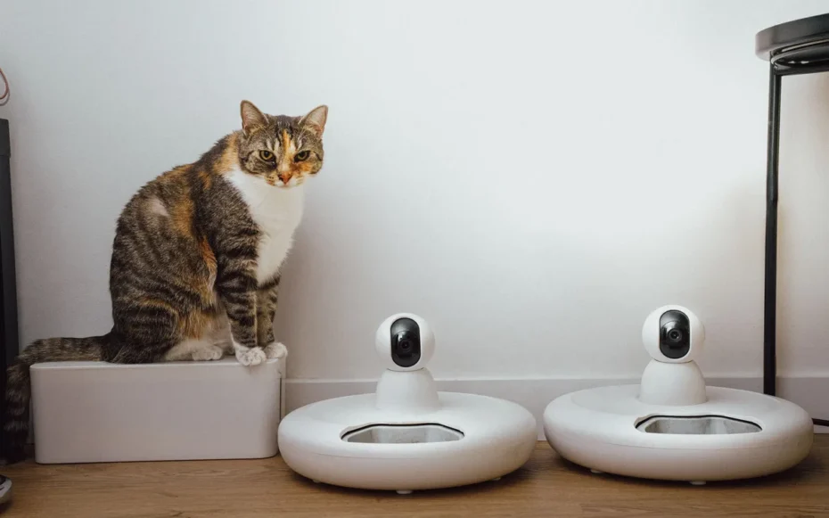 Petlibro ração inteligente