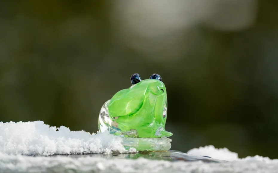 Sapo que congela no inverno preservação de órgãos humanos