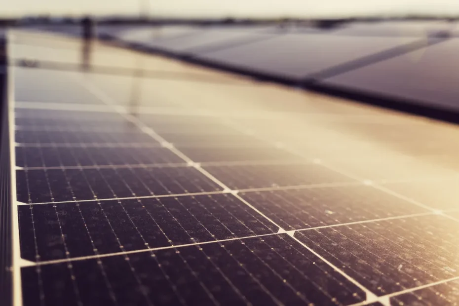 Vivo gato energia solar