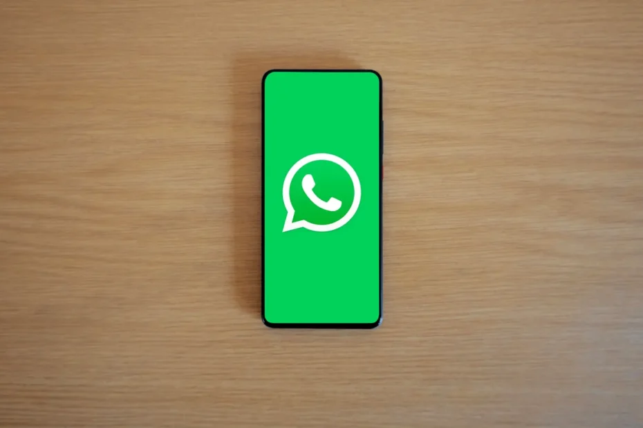 WhatsApp lixeira esvaziar